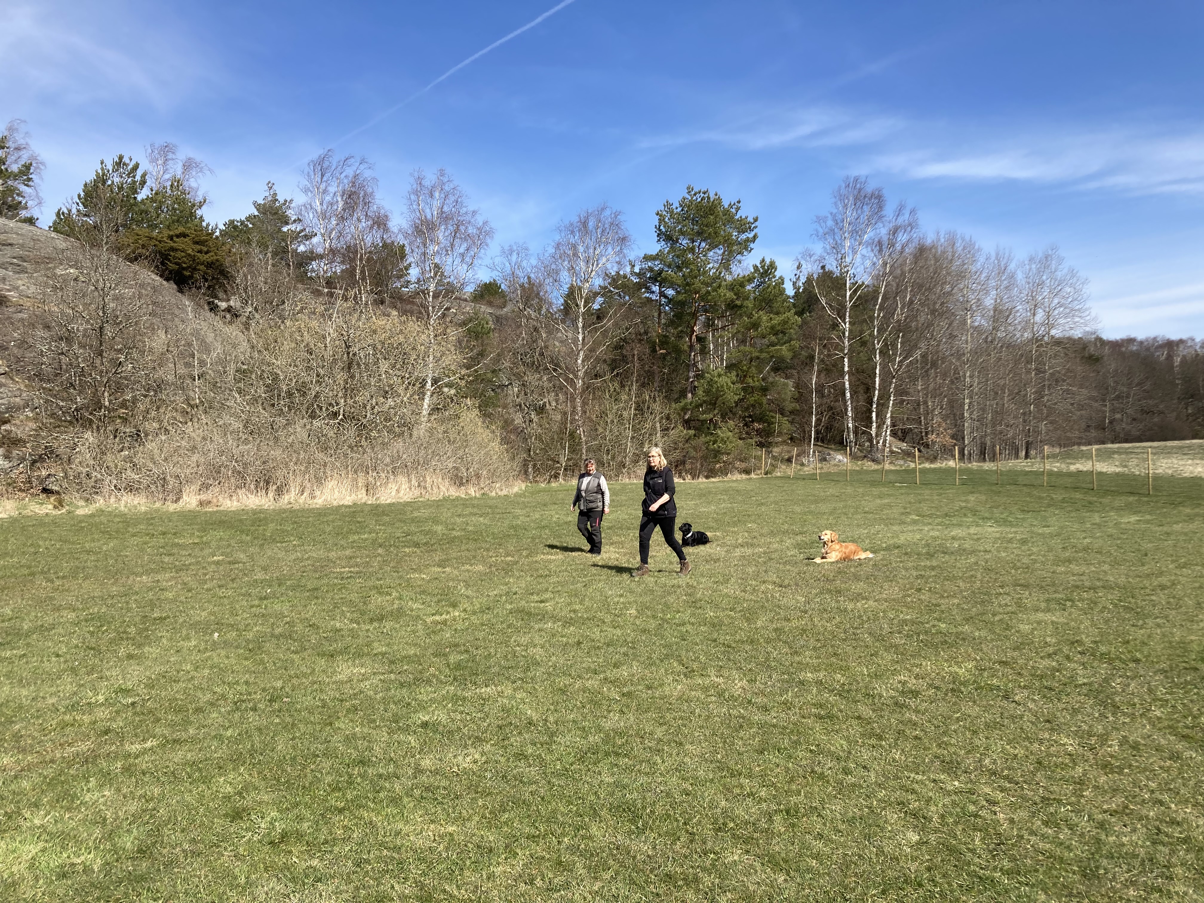 Gräsplan och två lydnadsekipage