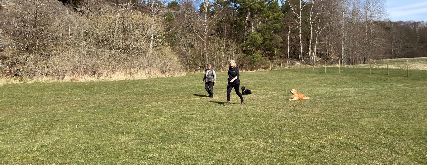 Gräsplan och två lydnadsekipage