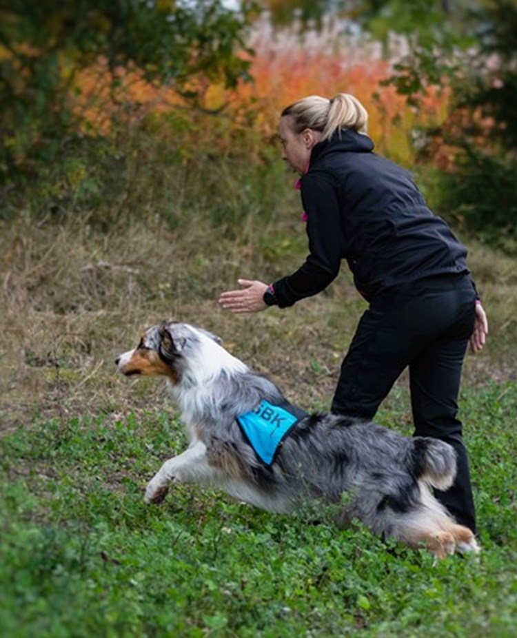 Matte skickar ut sin hund i skogen för att påbörja ett sök.