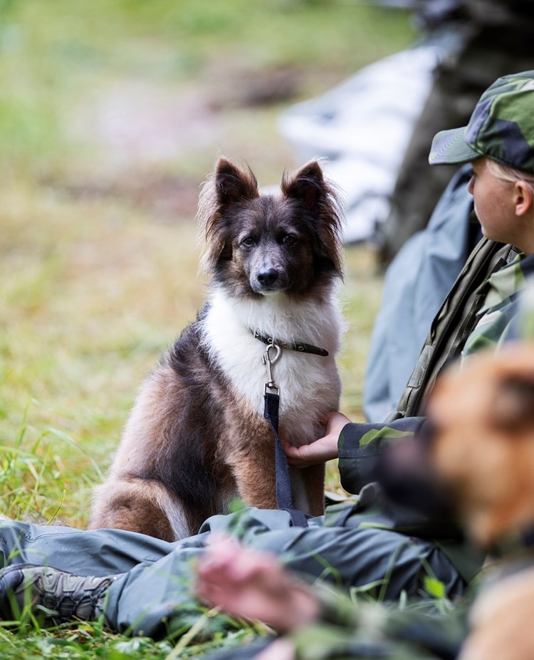 Fotograf: Nils Petter Nilsson