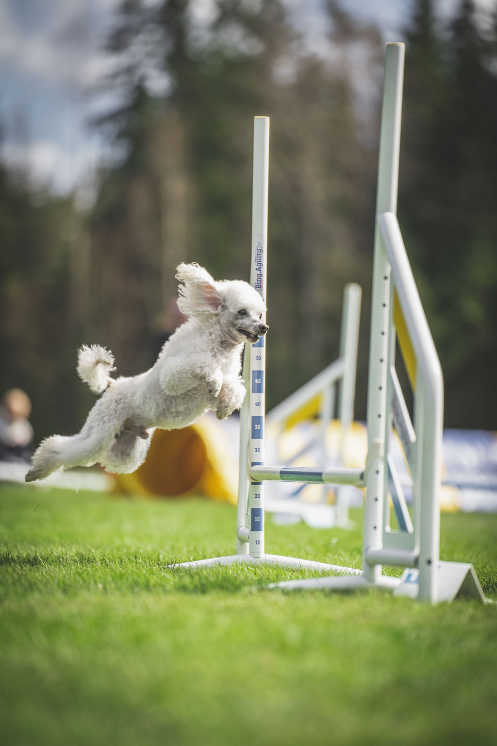 Agility