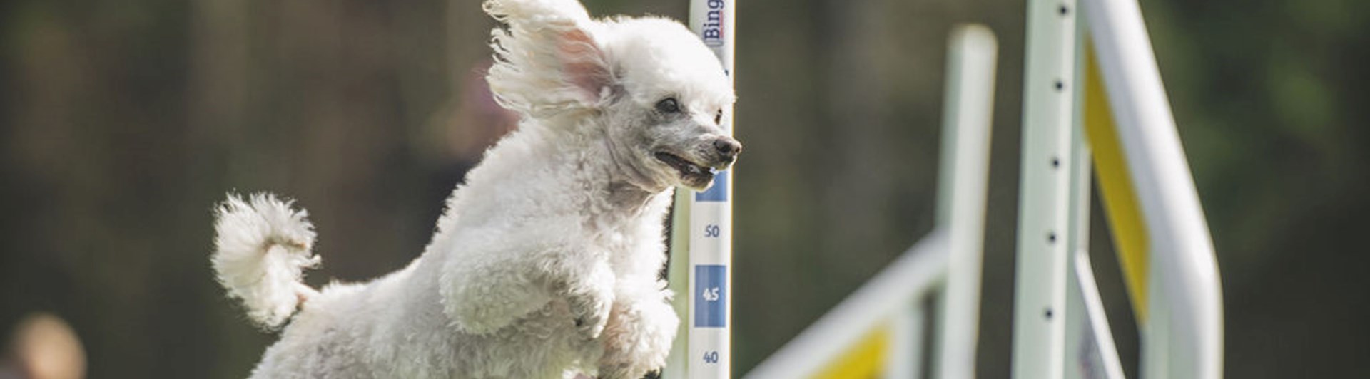 Agility