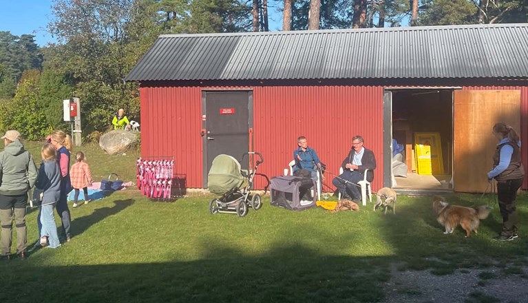 Publik i solen på KM