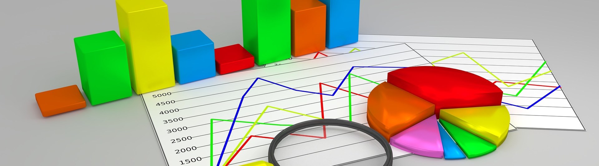 Statistik och rapporter