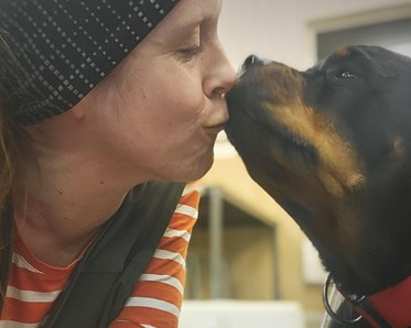 Ägare pussar sin rottweiler
