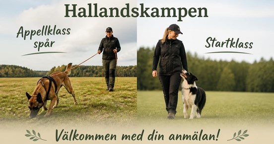 Hund som spårar och hund som går fot