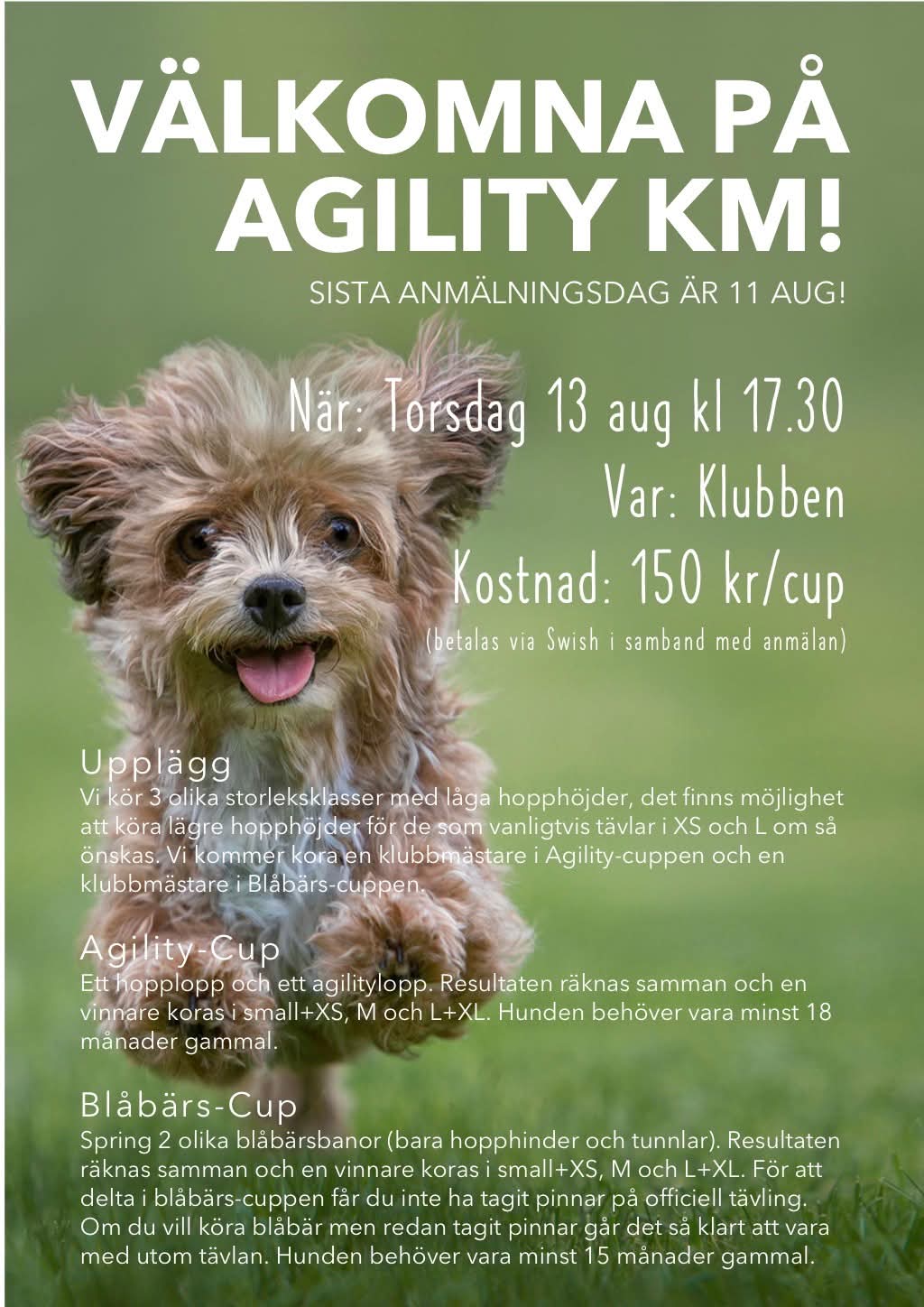 Klubbmästerskapsinfo Agility