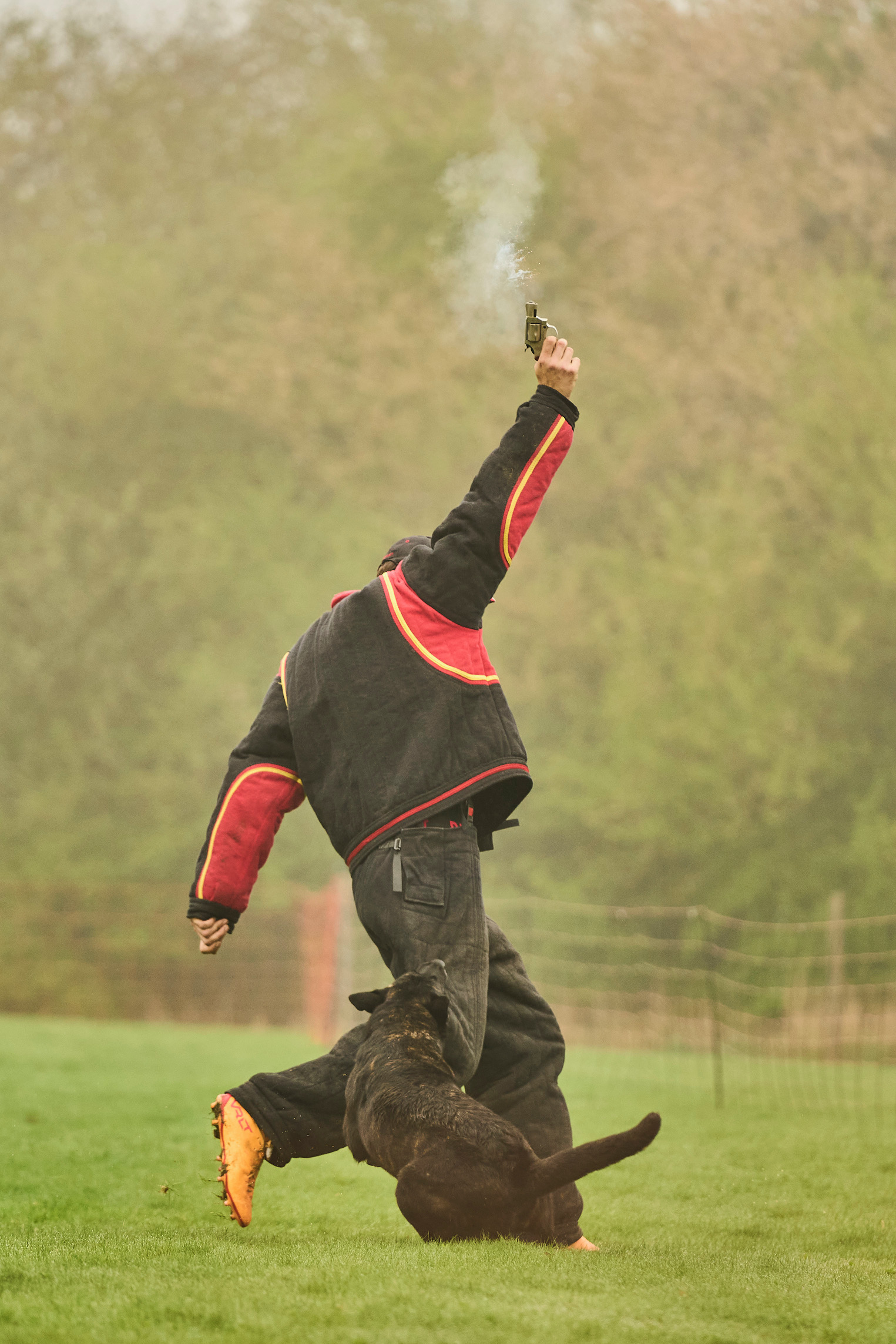 Flykt med skott mondioring