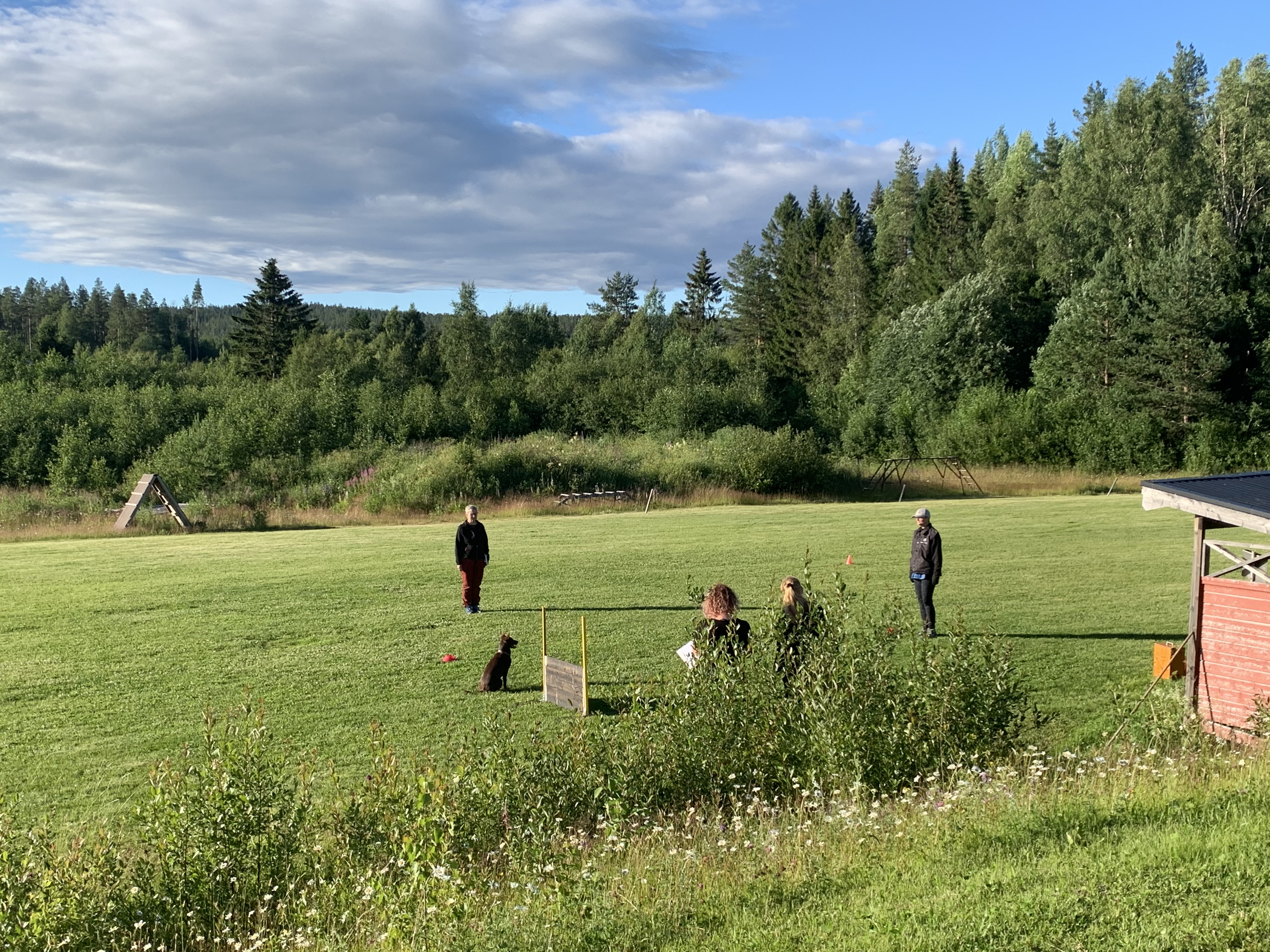 Lydnandsekipage på apellplan