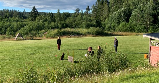 Lydnandsekipage på apellplan