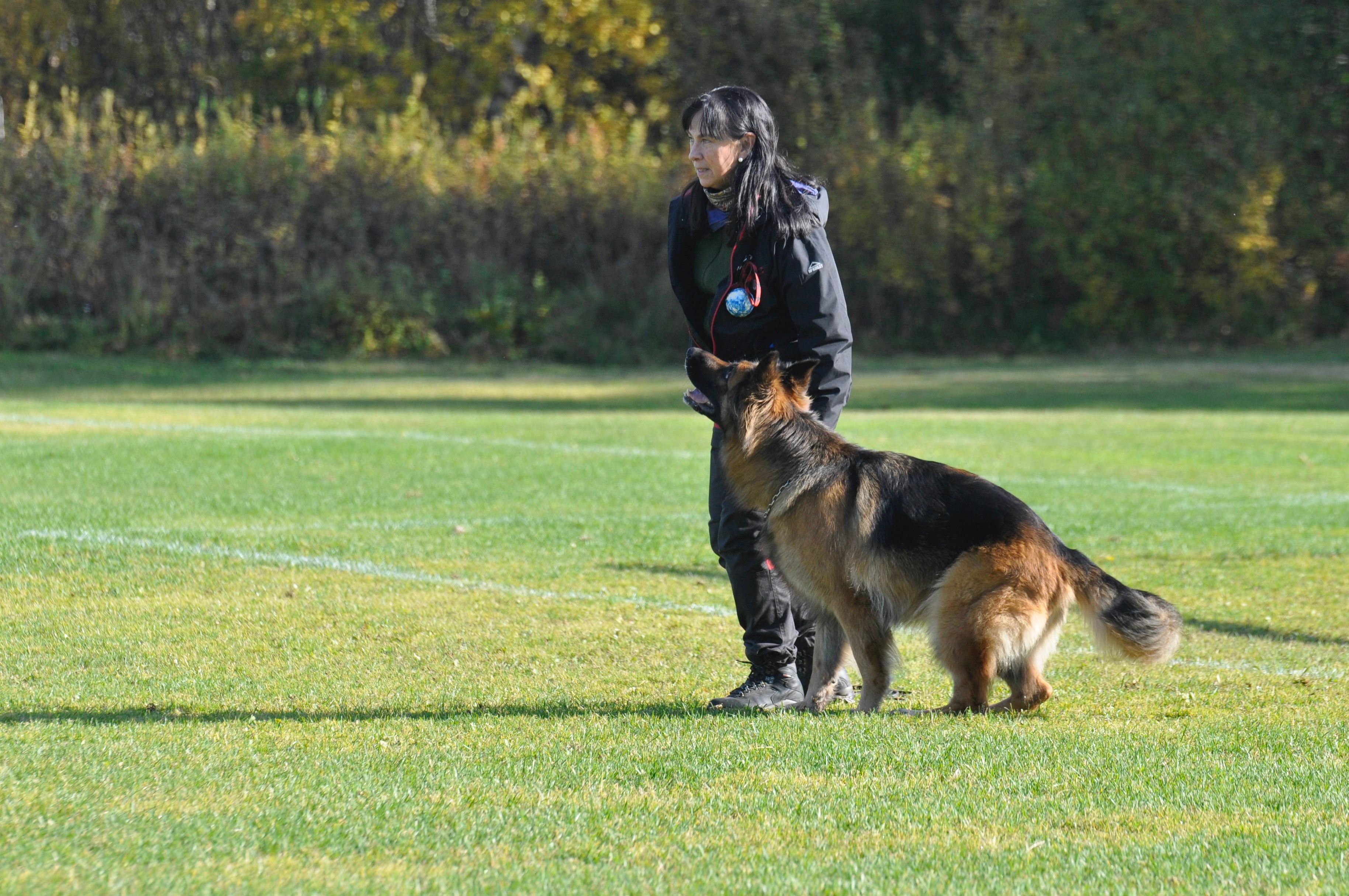Aina tränar tillsammans med sin schäfer.