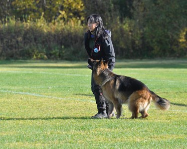 Aina tränar tillsammans med sin schäfer.