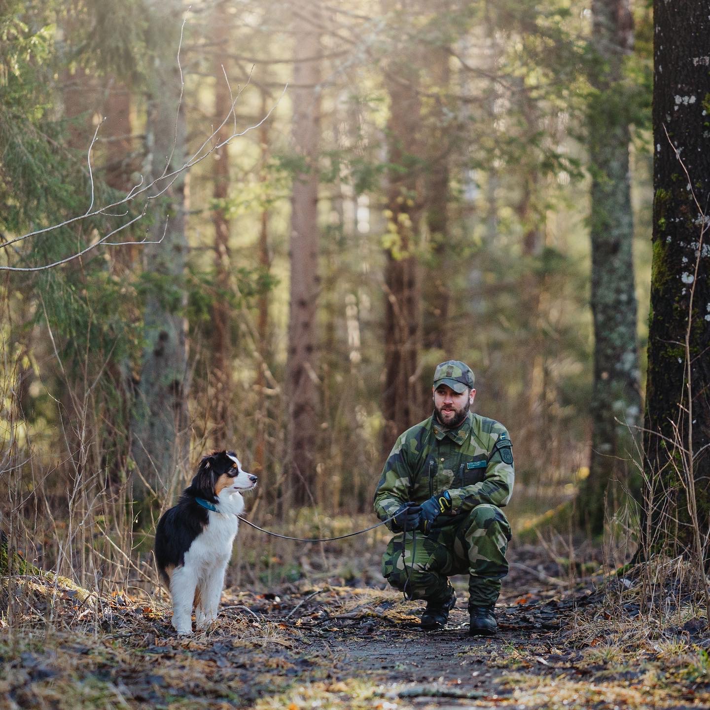 Peak patrullhundsträning