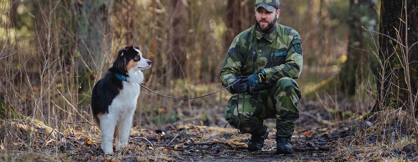 Peak patrullhundsträning
