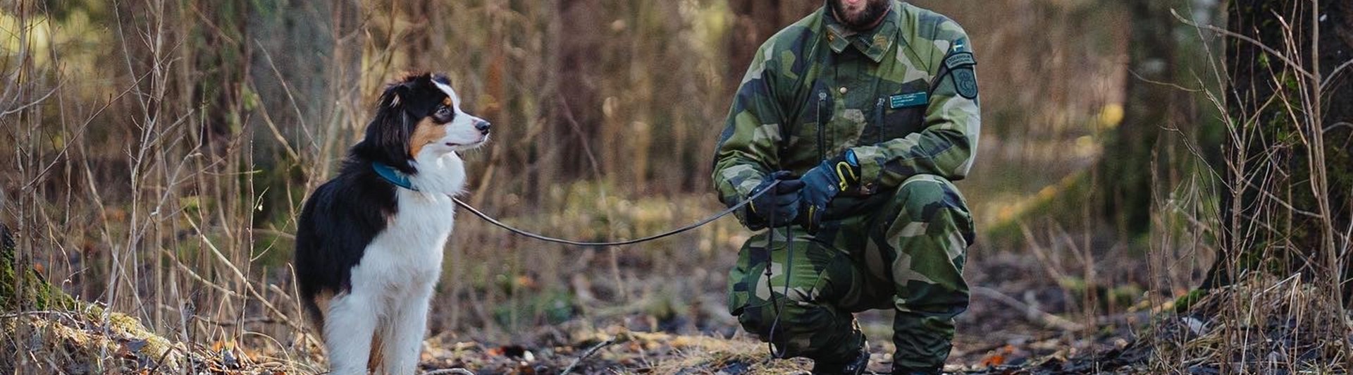 Peak patrullhundsträning