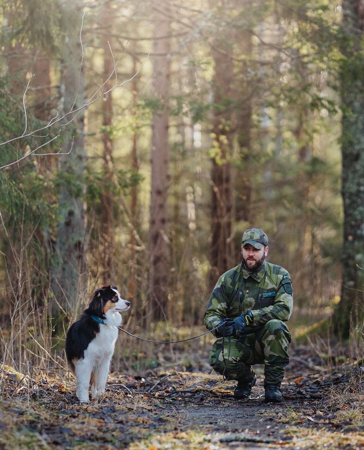 Peak patrullhundsträning