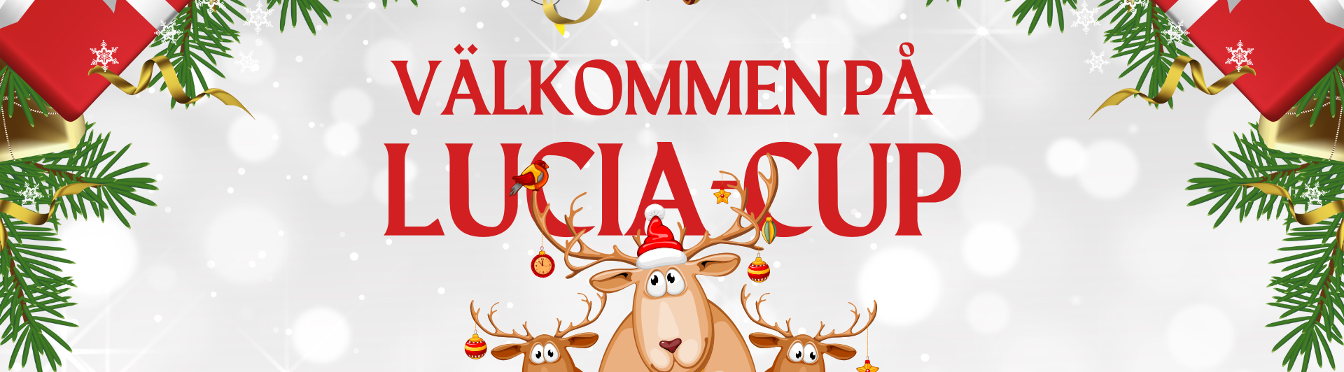 Välkommen på Lucia-Cup!
