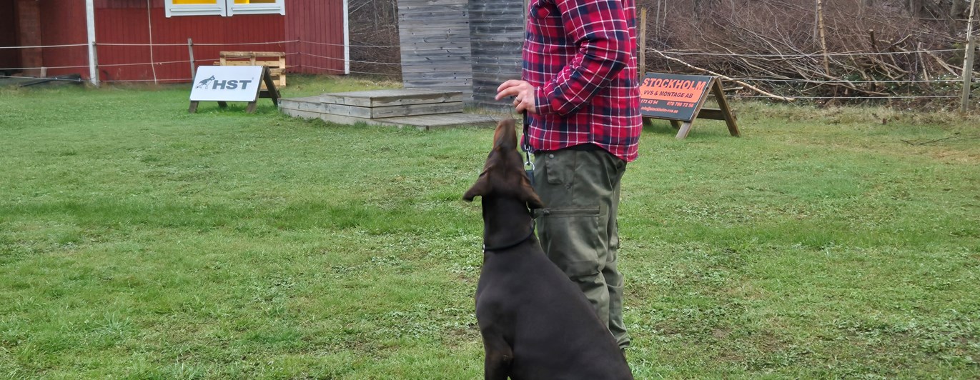 Skyddslydnadskurs IGP. Med lite hjälp går det bra.