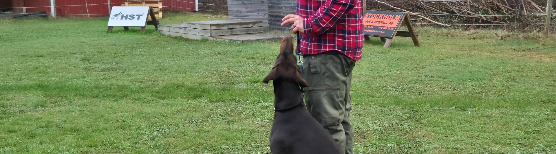 Skyddslydnadskurs IGP. Med lite hjälp går det bra.