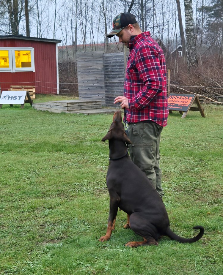 Skyddslydnadskurs IGP. Med lite hjälp går det bra.