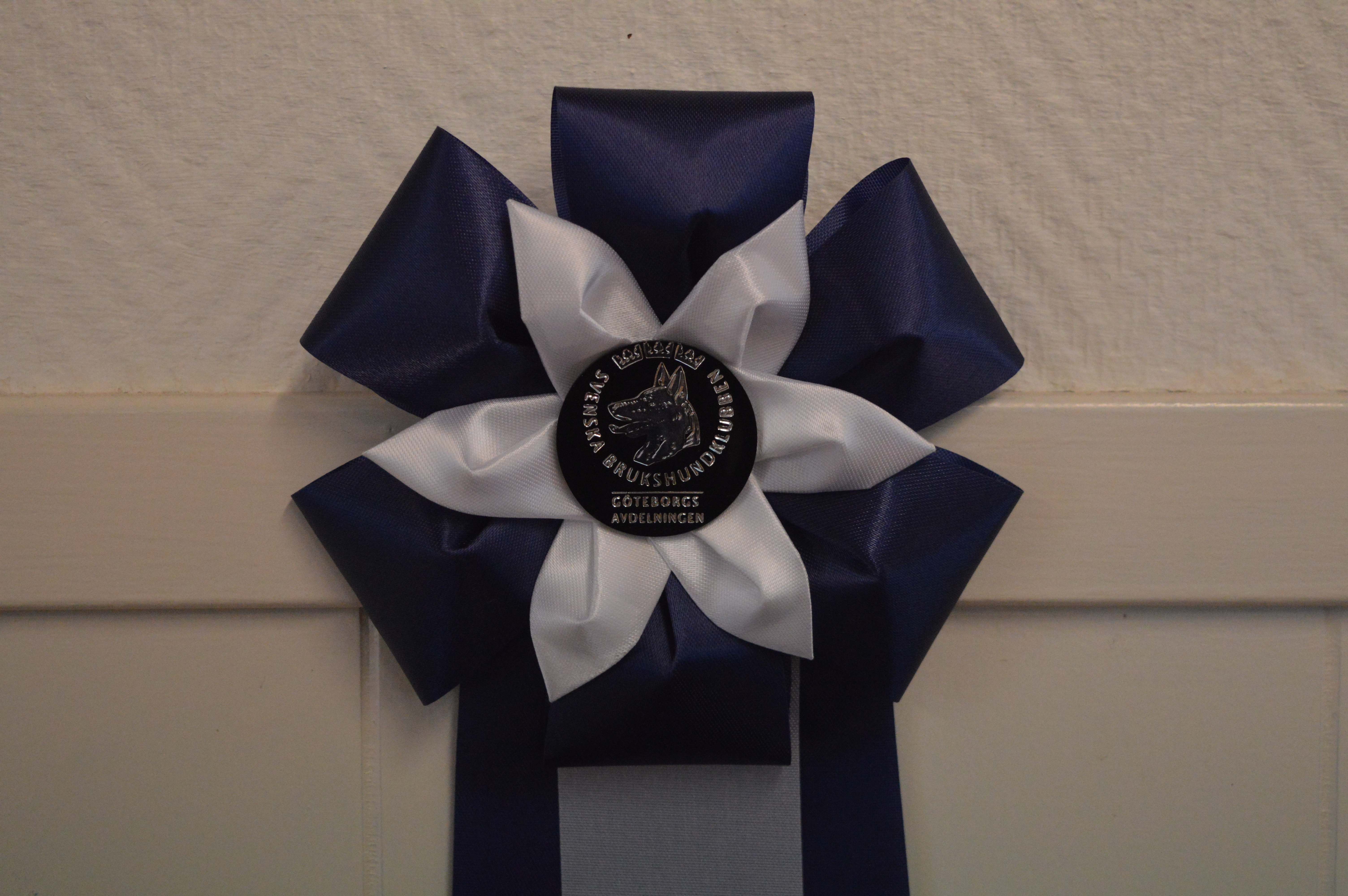 Bild på en blå rosett som tilldelas vinnaren av årets ekipage