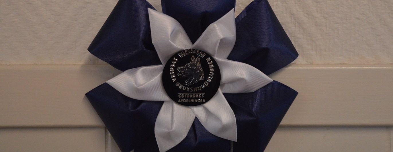 Bild på en blå rosett som tilldelas vinnaren av årets ekipage