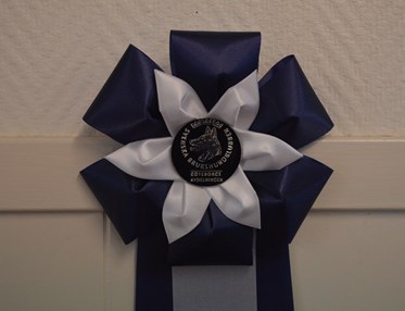 Bild på en blå rosett som tilldelas vinnaren av årets ekipage