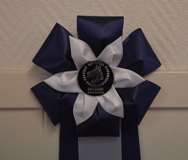 Bild på en blå rosett som tilldelas vinnaren av årets ekipage