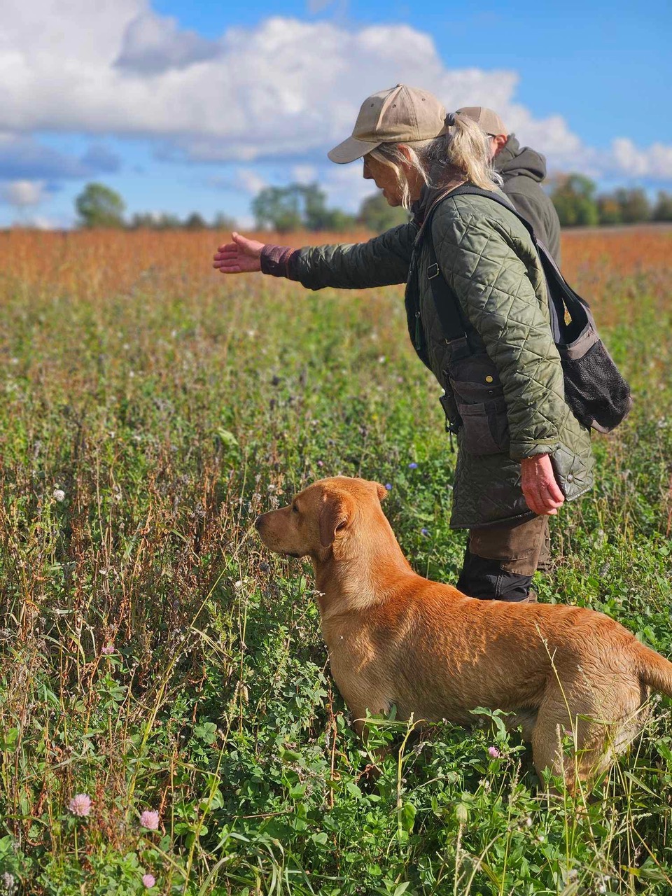 Else-Marie med blont hår, keps och grön jacka står i ett fält och anvisar riktning för sin gula labrador som står intill henne. 