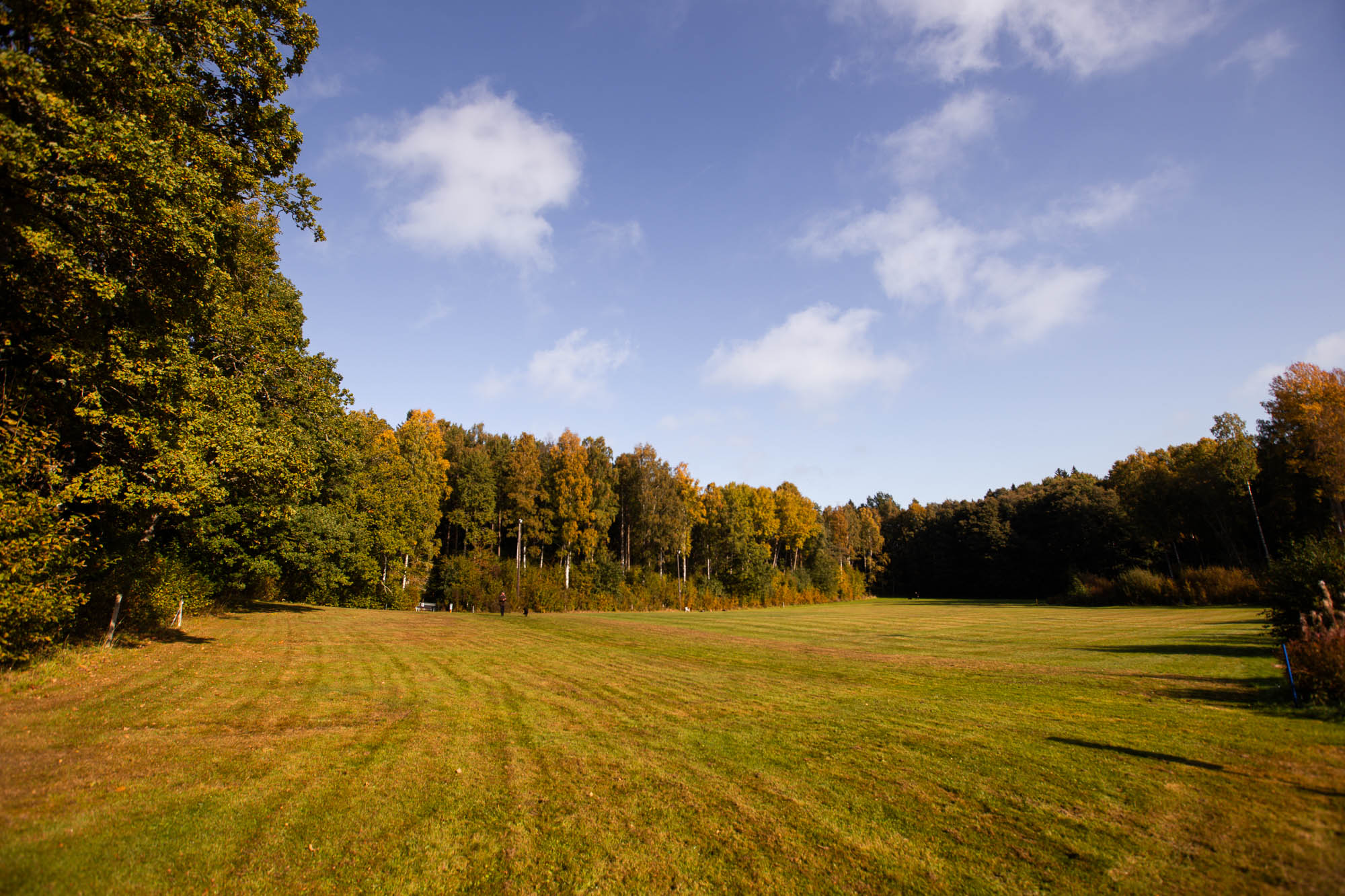 Planen bortanför inhägnaden
