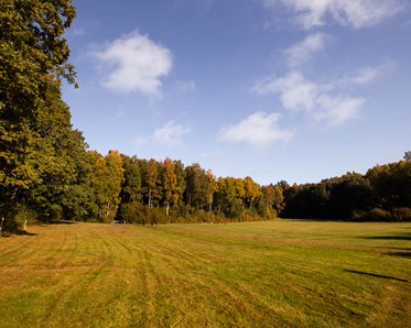 Planen bortanför inhägnaden