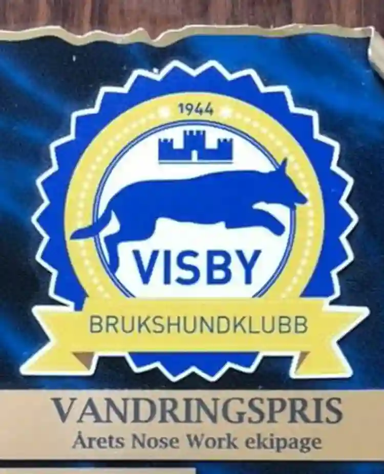 Årets NoseWork-ekipage Visby BK