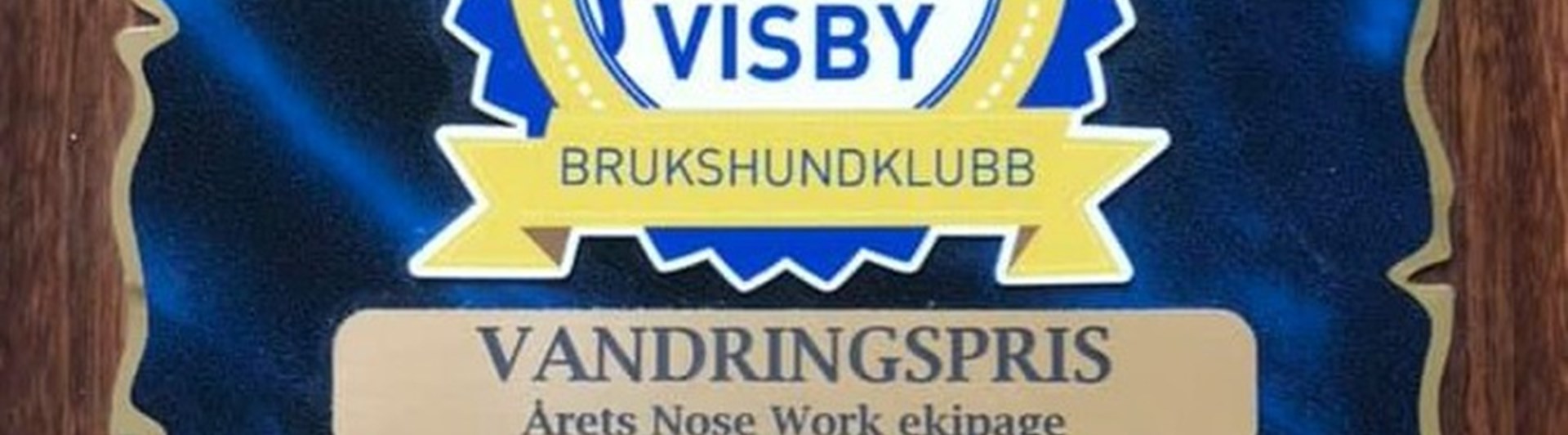 Årets NoseWork-ekipage Visby BK
