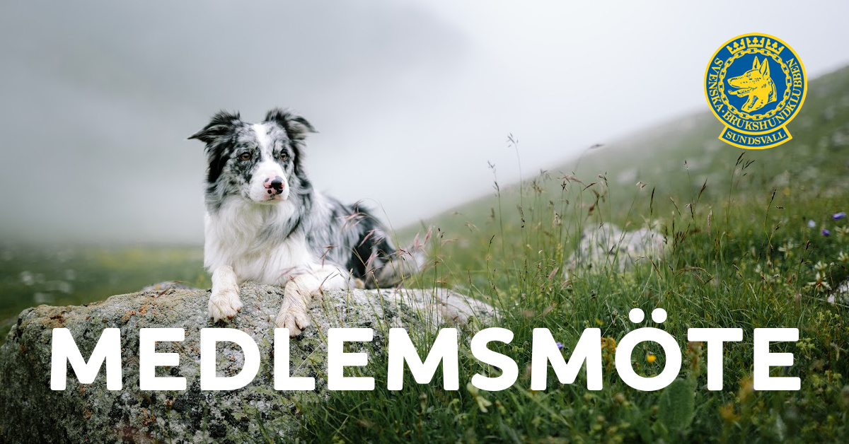 medlemsmöte
