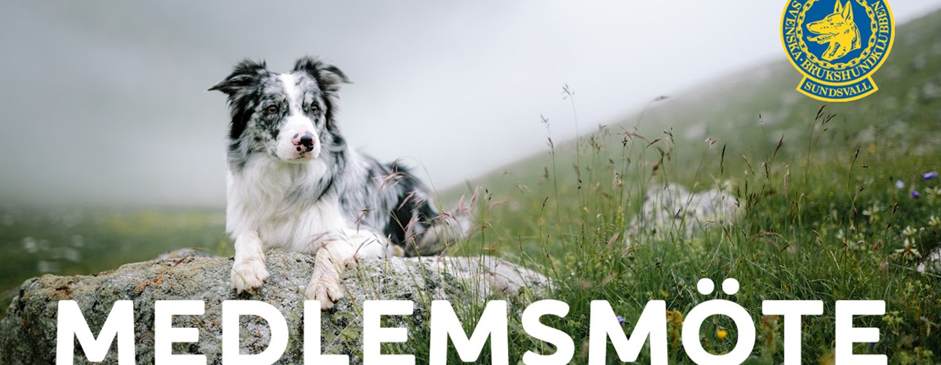 medlemsmöte