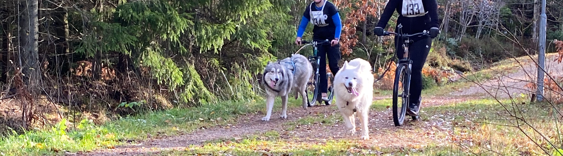 Två tävlingsekipage i barmarksdrag på sina kickbikes.