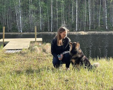 tjej och Lappsk vallhund