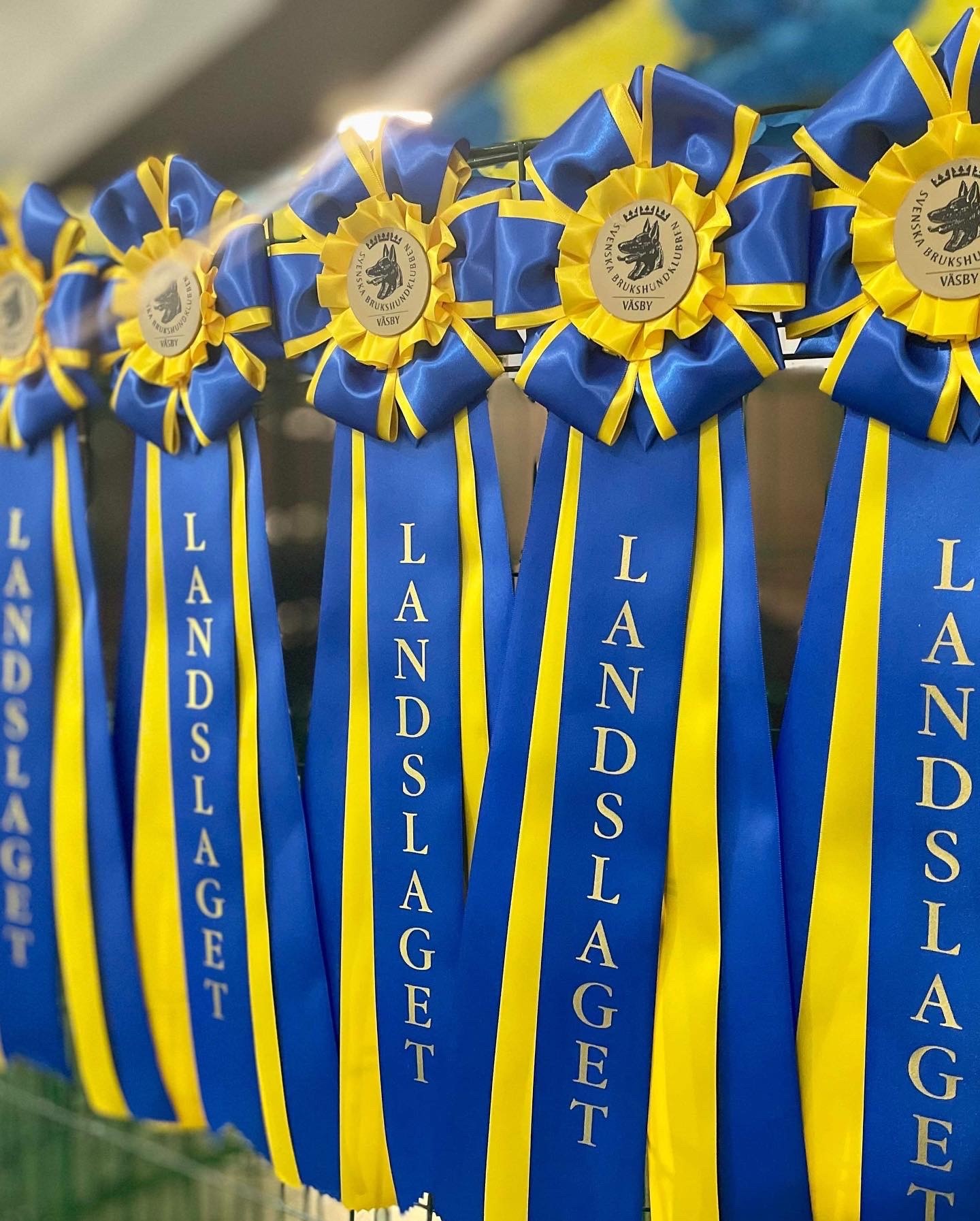 Rosetter med texten "Landslag"