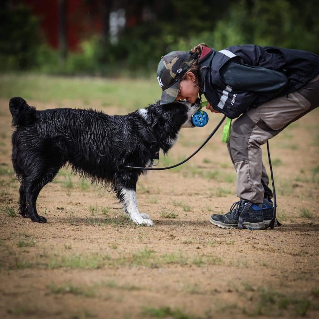 Lek med hund och boll.