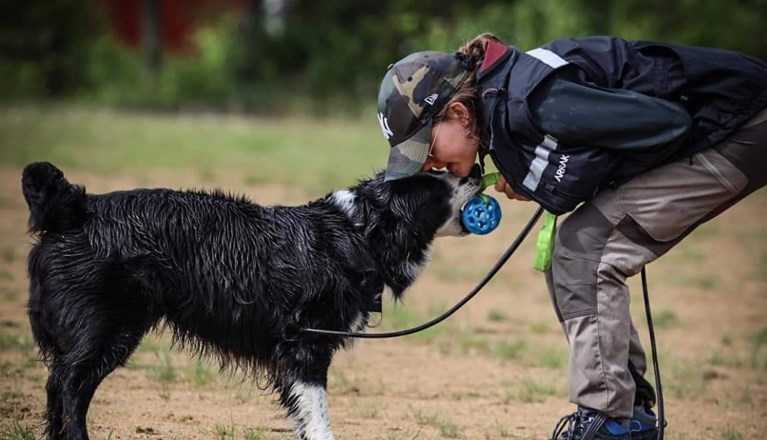 Lek med hund och boll.