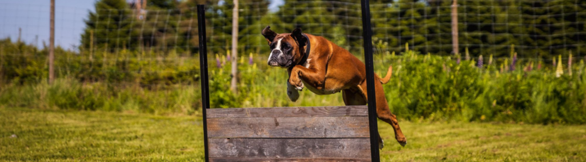 Hopp över hopphinder