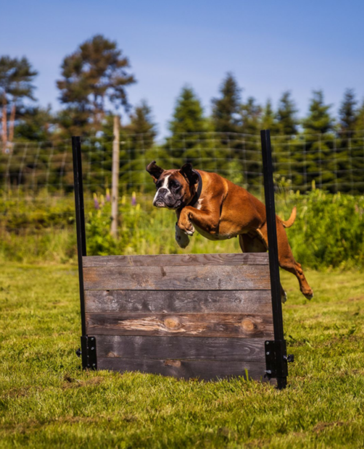 Hopp över hopphinder