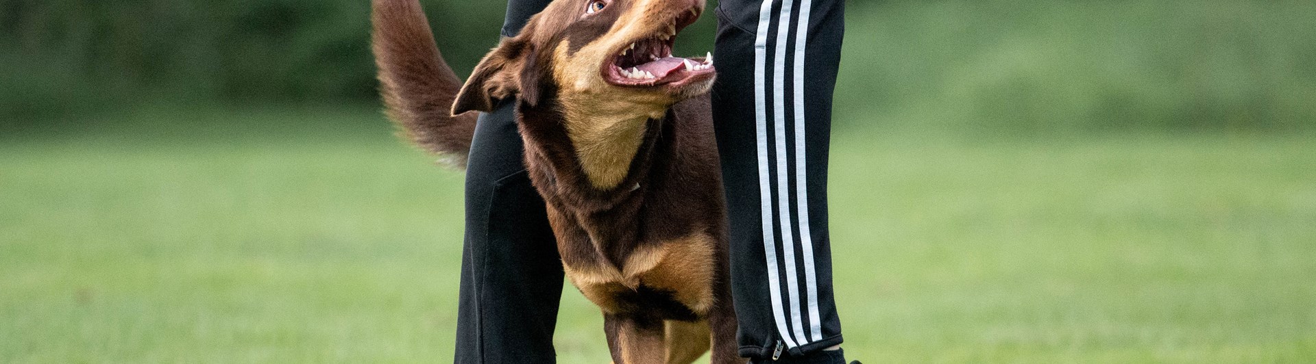 Lycka slalom
Bild: Alva Högkvist