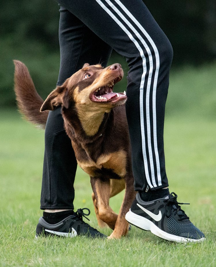 Lycka slalom
Bild: Alva Högkvist