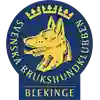 SBK Blekinge logotyp