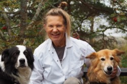 Anna Hielm Björkman