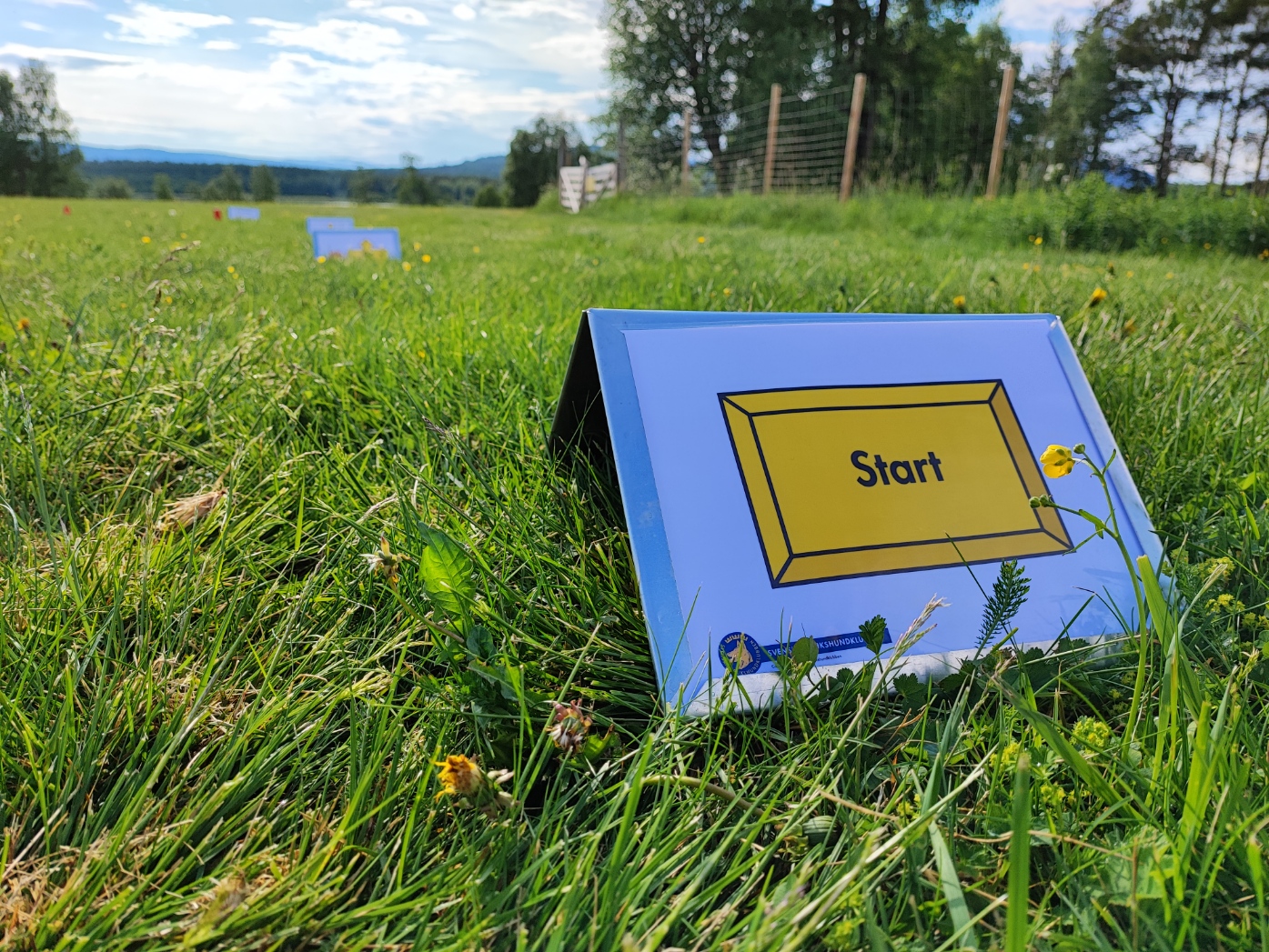 Skylt start Rallylydnadsbana