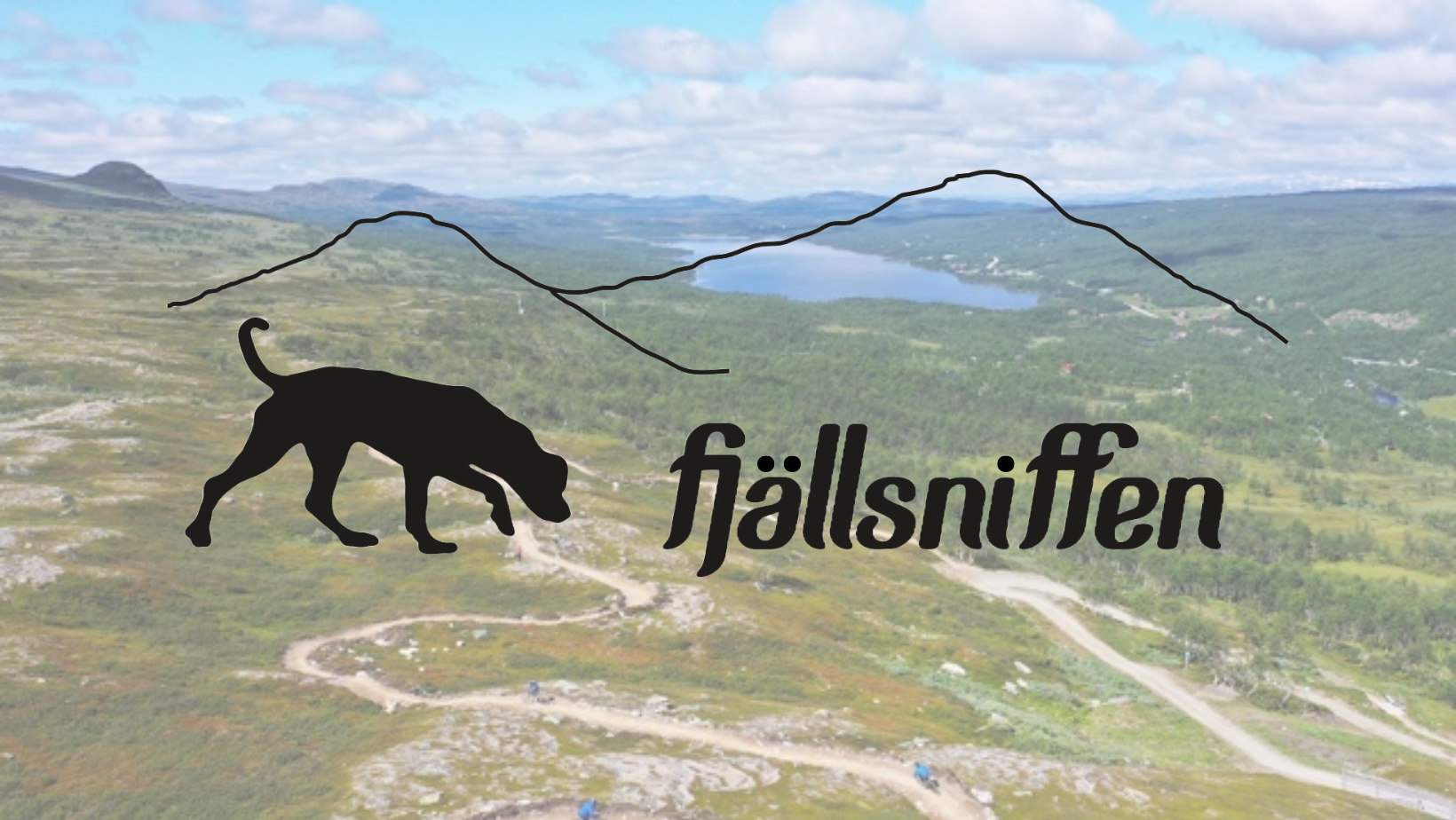 Headerbild för Fjällsniffen, Nose Worktävlingar i Tänndalen.