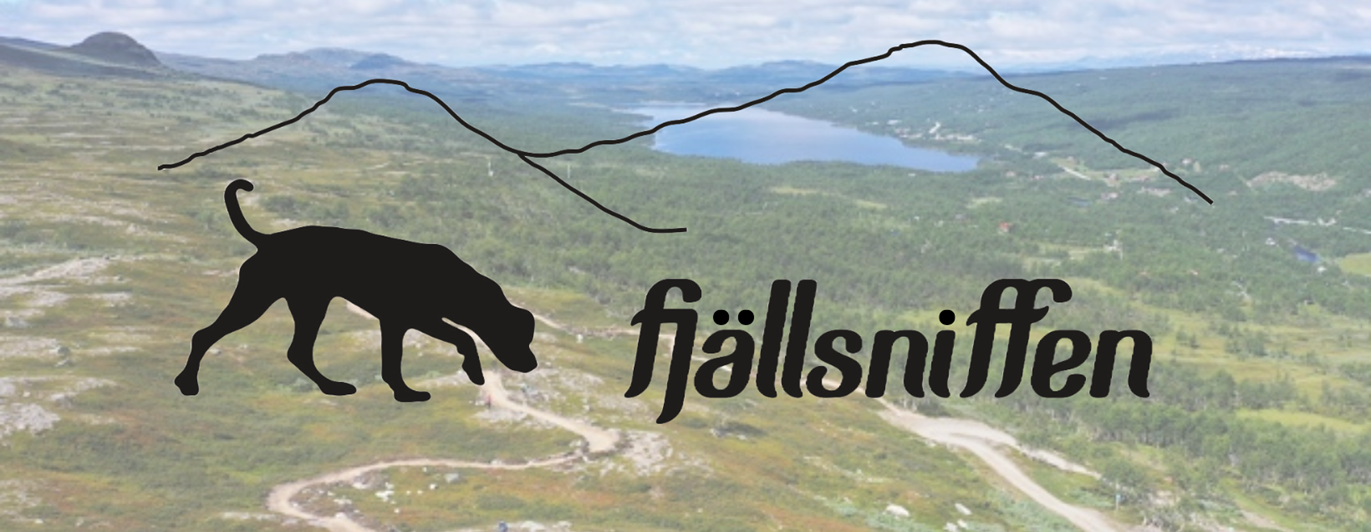Headerbild för Fjällsniffen, Nose Worktävlingar i Tänndalen.