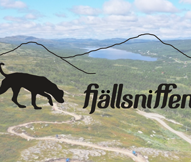 Headerbild för Fjällsniffen, Nose Worktävlingar i Tänndalen.